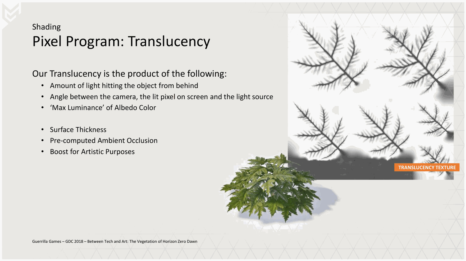 Slide 62