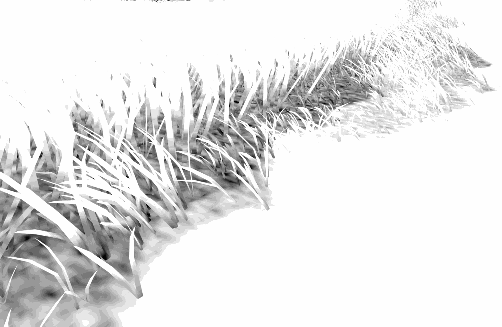 Slide 44