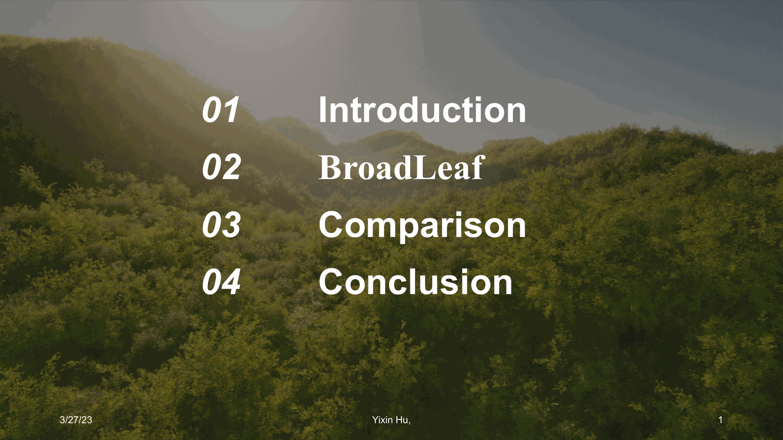 Slide 2