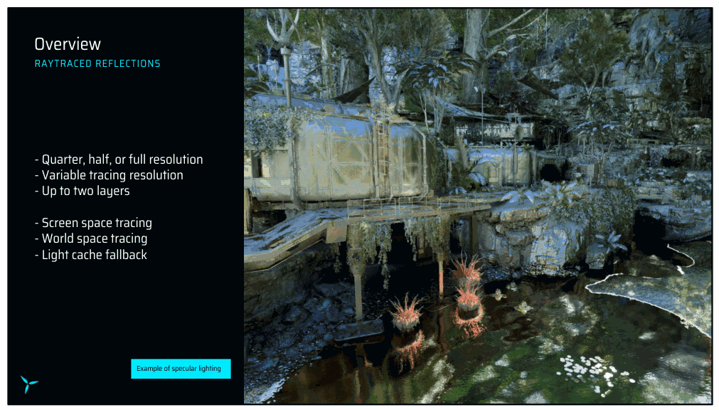 Slide 6