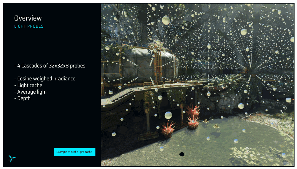 Slide 7