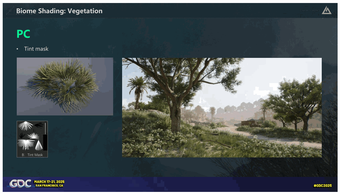 Slide 17
